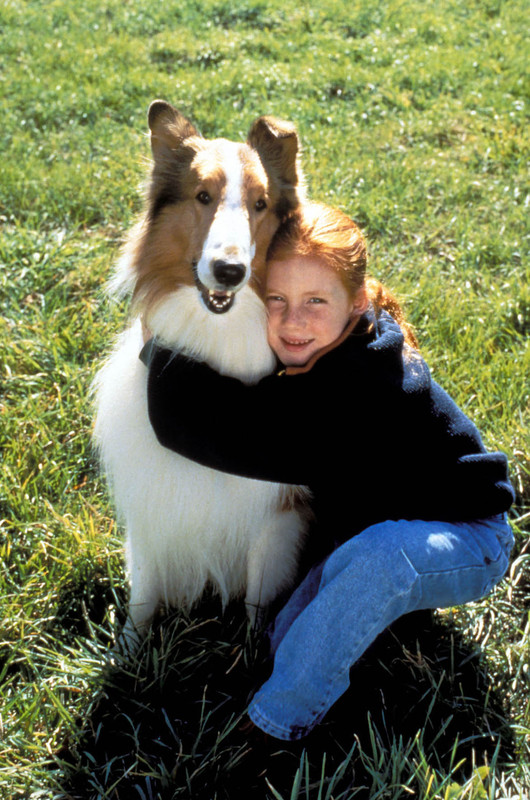 Les Nouvelles Aventures De Lassie Film 1994 Télé Star